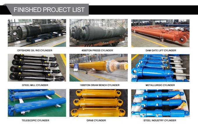 খাদ্য যন্ত্রপাতি জন্য কারখানার সরাসরি Tailer-Made Servo মোটর সিলিন্ডার 4