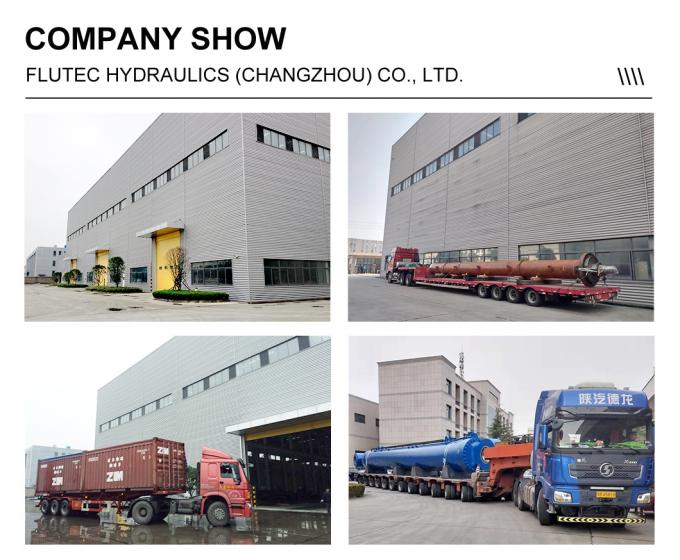 OEM ভারী দায়িত্ব শিল্পের জন্য ইম্পেরিয়াল ইন্ডাস্ট্রিয়াল হাইড্রোলিক সিলিন্ডার 6