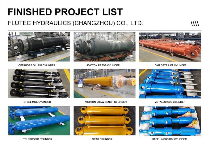 FLUTEC বোল্টড হেড হাইড্রোলিক সিলিন্ডার / উল্লম্ব রোলার মিলের জন্য হাইড্রোলিক তেল সিলিন্ডার 3